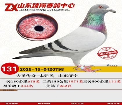 ɽ���������131��