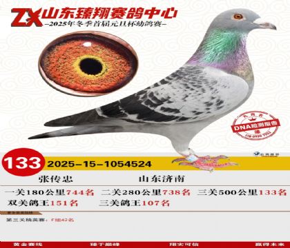 ɽ���������133��