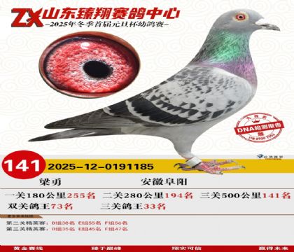 ɽ���������141��