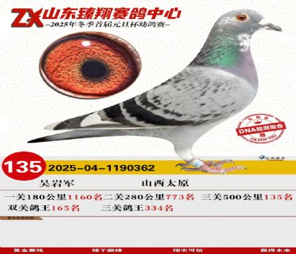 ɽ���������135��