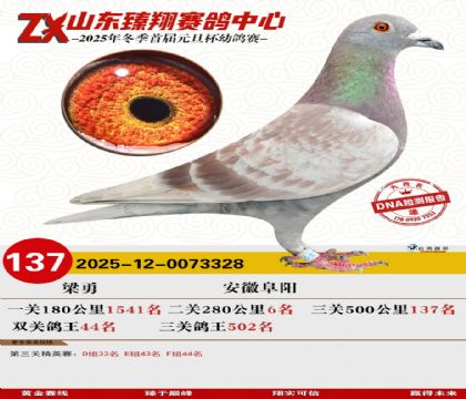 ɽ���������137��