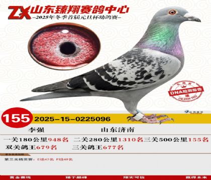 ɽ���������155��