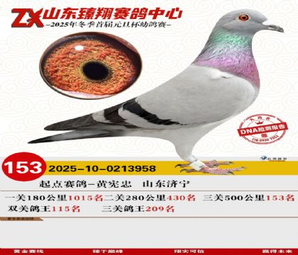 ɽ���������153��