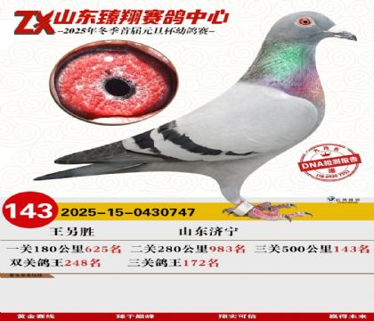 ɽ���������143��