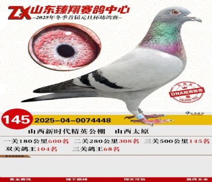 ɽ���������145��