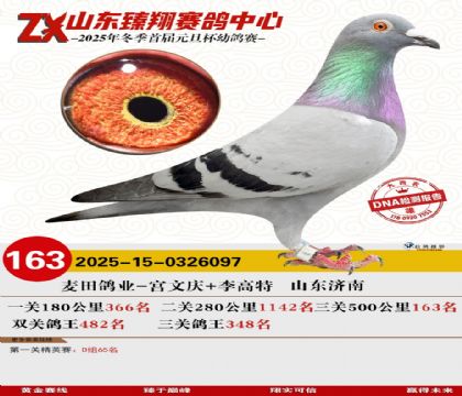 ɽ���������163��