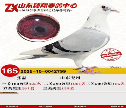 ɽ���������165��