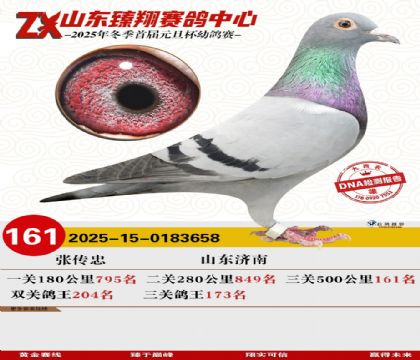 ɽ���������161��