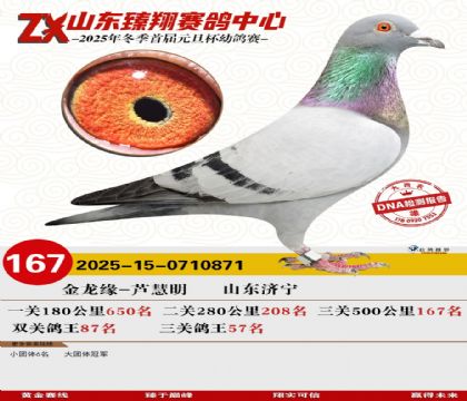 ɽ���������167��