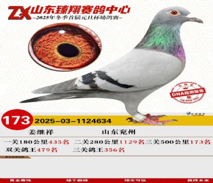 ɽ���������173��