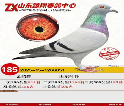 ɽ���������185��