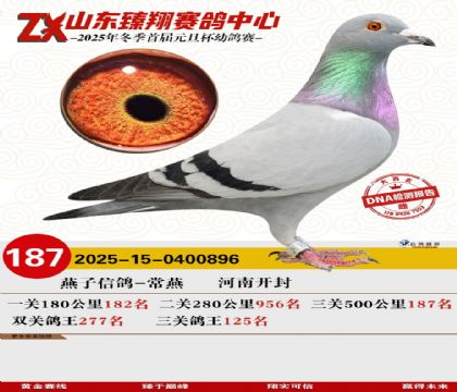 ɽ���������187��