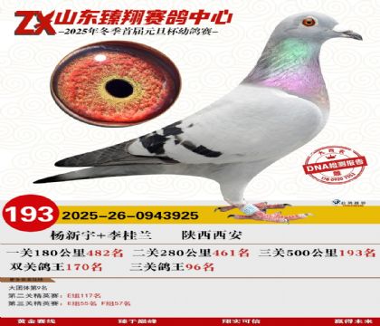 ɽ���������193��