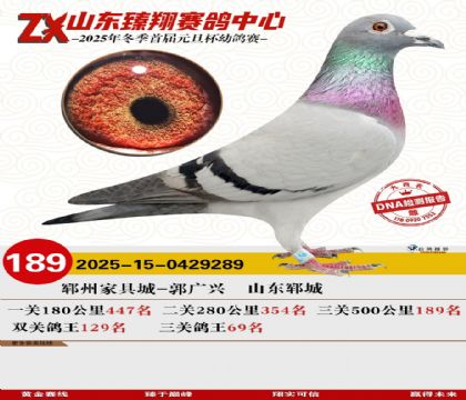 ɽ���������189��