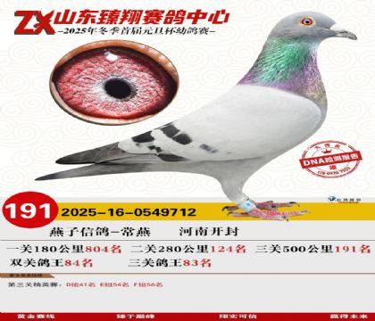 ɽ���������191��