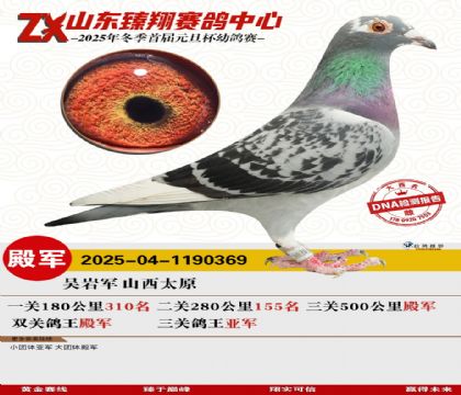 山东臻翔决赛4名