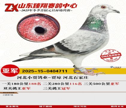 山东臻翔决赛亚军