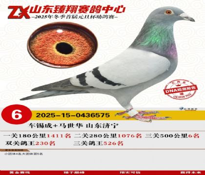 山东臻翔决赛6名