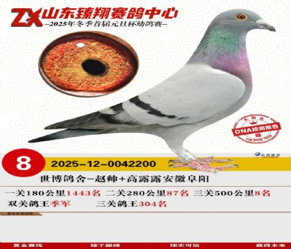 山东臻翔决赛8名