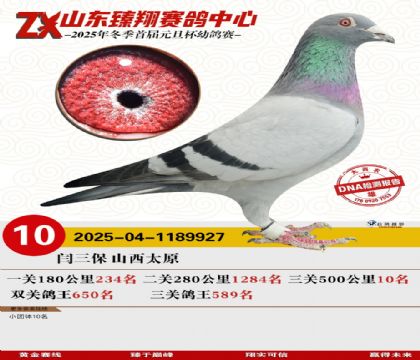 山东臻翔决赛10名