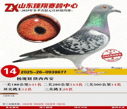 山东臻翔决赛14名