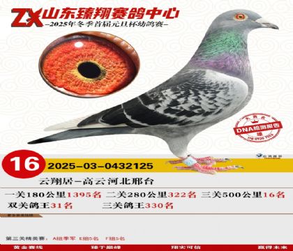 山东臻翔决赛16名