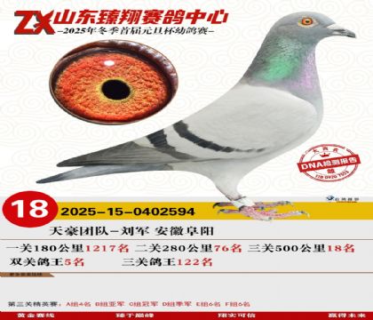 山东臻翔决赛18名