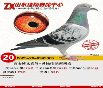 山东臻翔决赛20名