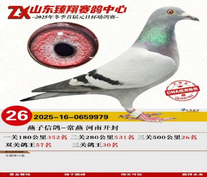 山东臻翔决赛26名