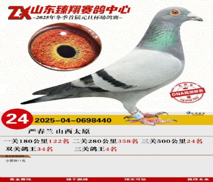 山东臻翔决赛24名