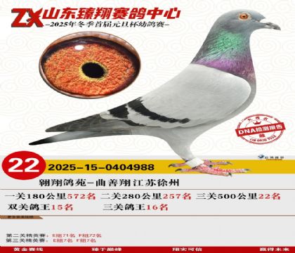 山东臻翔决赛22名