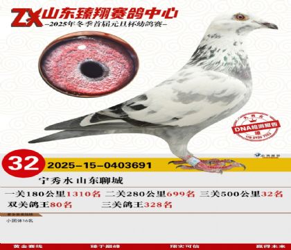 山东臻翔决赛32名