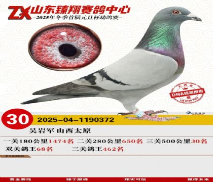 山东臻翔决赛30名