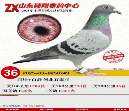 山东臻翔决赛36名