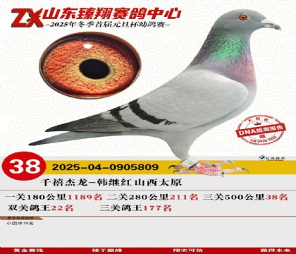 山东臻翔决赛38名