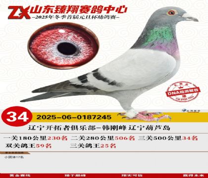 山东臻翔决赛34名