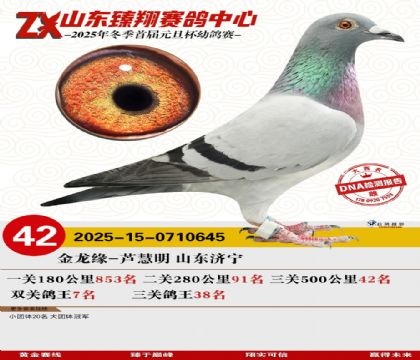 山东臻翔决赛42名