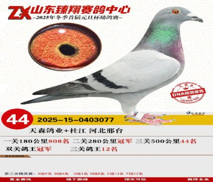 山东臻翔决赛44名