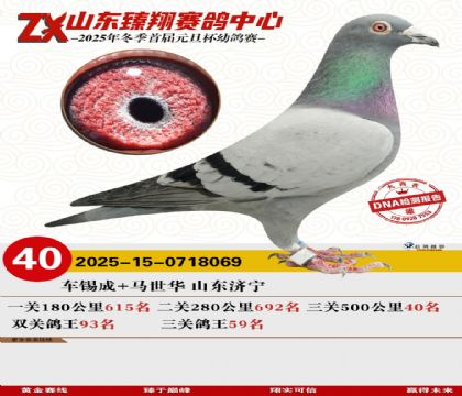 山东臻翔决赛40名