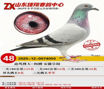 山东臻翔决赛48名