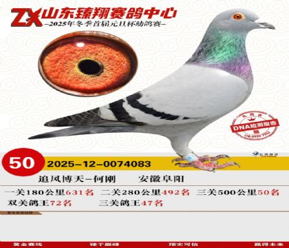 山东臻翔决赛50名