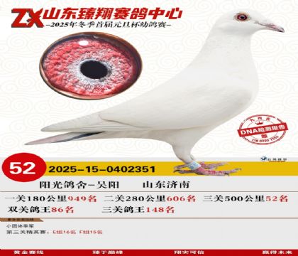 山东臻翔决赛52名