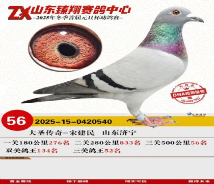 山东臻翔决赛56名