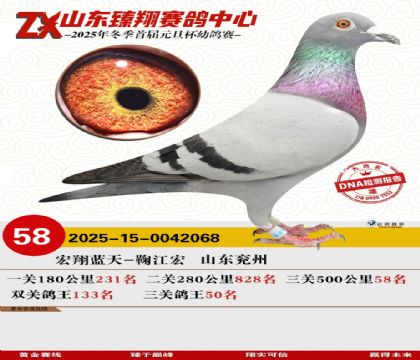 山东臻翔决赛58名