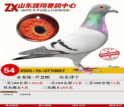 山东臻翔决赛54名