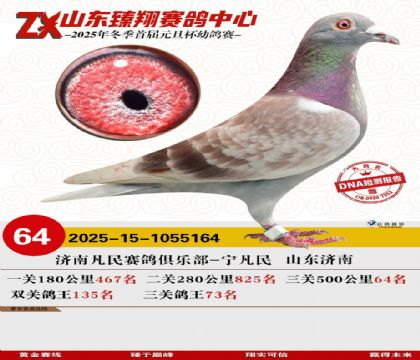 山东臻翔决赛64名