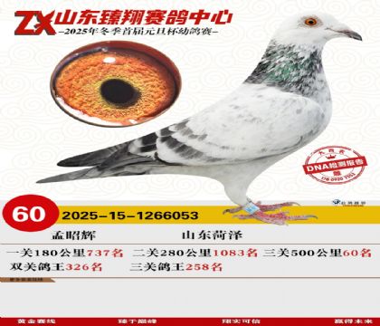 山东臻翔决赛60名