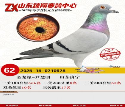 山东臻翔决赛62名