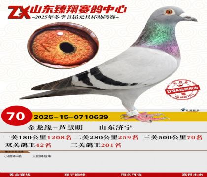 山东臻翔决赛70名