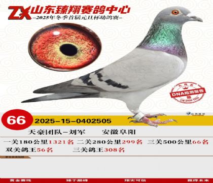 山东臻翔决赛66名